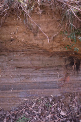 The stratum layers