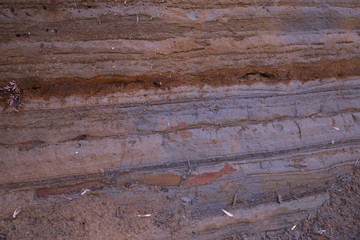 The stratum layers