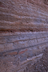 The stratum layers