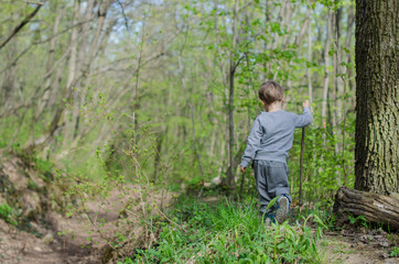 Boy walk or hike through the forest in early spring