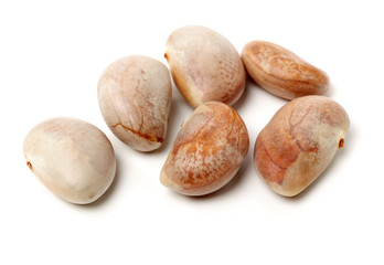 Raw Jackfruit seeds on white background