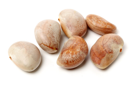 Raw Jackfruit Seeds On White Background