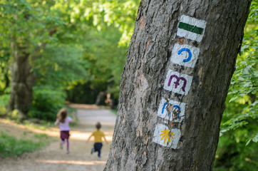 Trial signs on the tree and running children in the Normafa forest