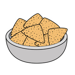 delicious nachos mexican food