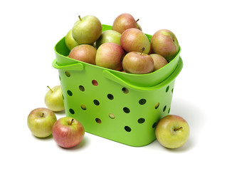 Green apples （china guoguang apple） isolated on white background