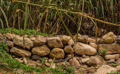 wild back yard garden exterior design with small handmade stone border wall and green grass plants