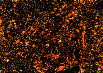 Abstract background made from paint