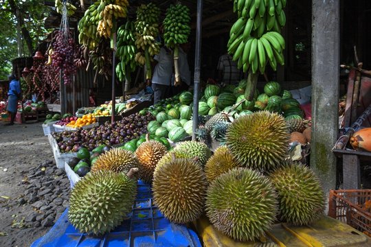 Fruit stall, durian, bananas, melons, Central Province, Sri Lanka, Asia
