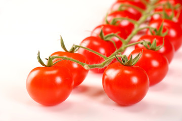Ripe fresh Juicy organic cherry tomatoes closeup on branch isolated on a white background.