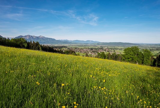 Meadow with Benediktbeuern Monastery, Mount Herzogstand and Heimgarten, Upper Bavaria, Bavaria, Germany, Europe