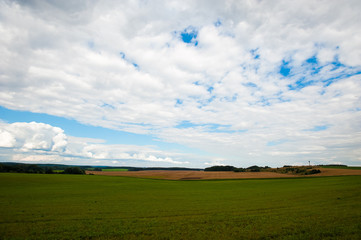 Obraz premium Beautiful still lake with trees on the horizon and white puffy clouds in the sky. Peaceful summer day at the cottage. Large green trees on a lake