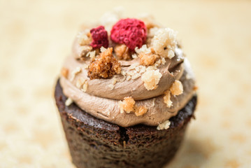 A single dark chocolate cupcake with icing and red raspberry on top