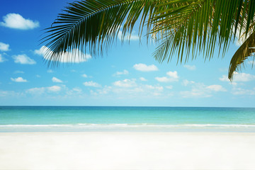 Fototapeta na wymiar Tropical beach background with palm tree, Summer.