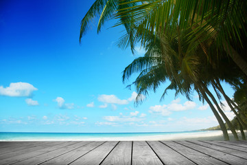 Tropical beach background with palm tree and empty wooden, Summer.