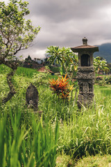 altar to balinese gods on rice terraces jatiluwih