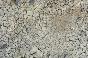 cracked soil earth texture