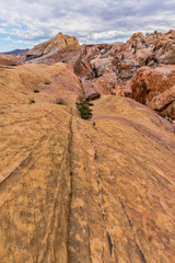 Waves and curves create a beautiful landscape in The Valley of Fire State Park.