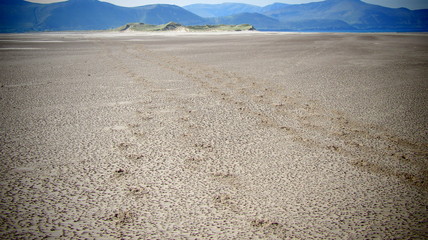 Hoofprints inthe Sand