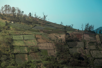 Rural farmland in Guatemala with clear sky