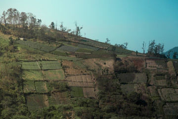 Fototapeta premium Rural farmland in Guatemala with clear sky