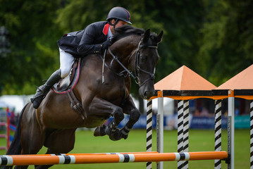 horse and rider