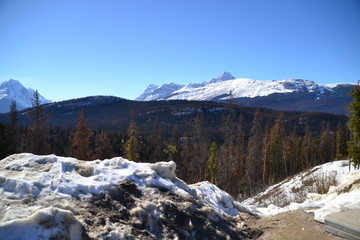 Athabasca Lookout in Winter