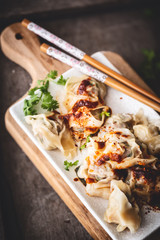 Porc Wonton ou Ravioli Chinois au Porc