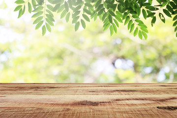 Empty wooden and blurred green nature garden background. - obrazy, fototapety, plakaty