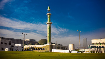 Naklejka premium mosq