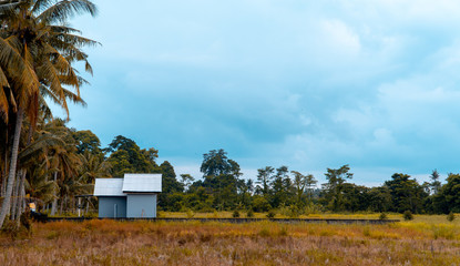 lonely little house in the field