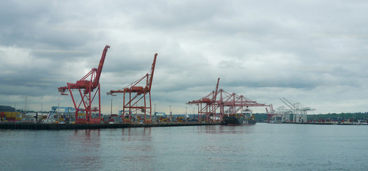 Cargo cranes at the port of Seattle.