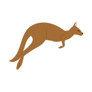 recommend clip art: isolated cute kangaroo