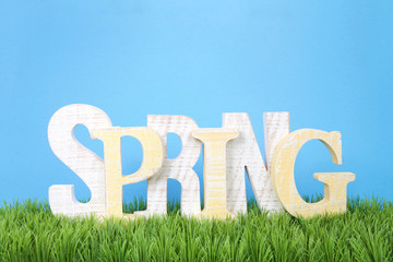 Wooden letters spelling SPRING sitting in green grass with blue background.