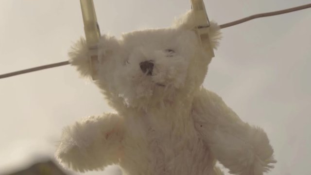 Teddy bear hangs on washing line