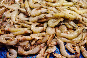 Seafood Market