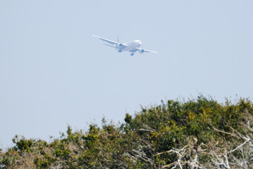 airplane in the sky