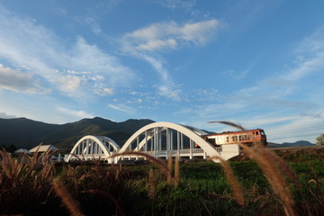bridge over the river