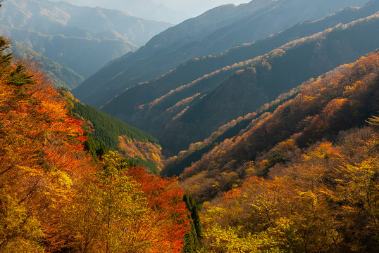 なめご谷 のストック写真 ロイヤリティフリーの画像 ベクター イラスト Adobe Stock なめご谷 のストック写真 ロイヤリティフリーの画像 ベクター イラスト Adobe Stock
