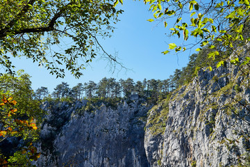 Stone tops of mountains with green trees