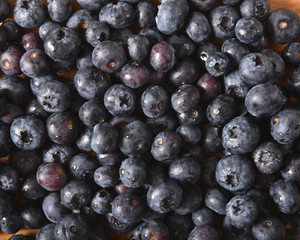 Blueberry background