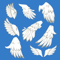 Fototapeta premium Angel or bird wings flight pair and single white feathers