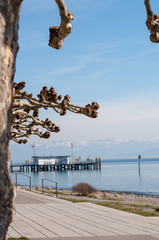 Frühling am Bodensee, d
Deutschland