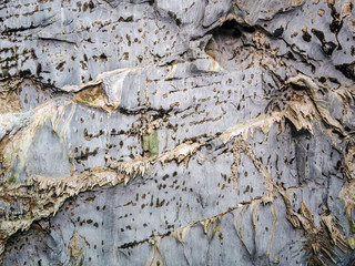 Stalactites surface, natural background