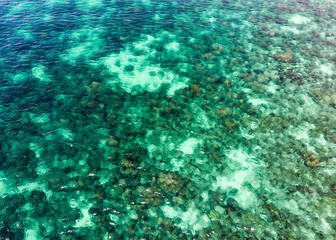 Tropical emerald sea with coral reef in andaman island