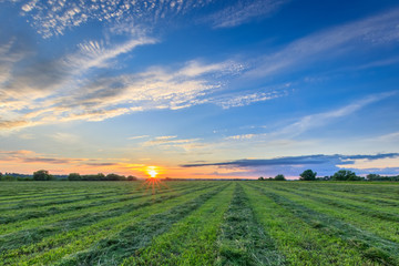 Sunset at cultivated land in the countryside.