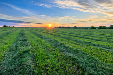 Sunset at cultivated land in the countryside.