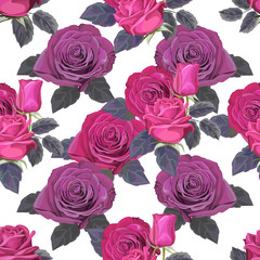 Seamless pattern rose flower vector illustration
