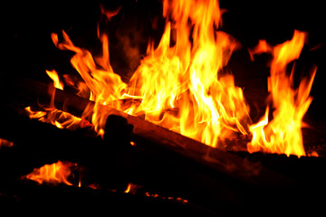 Burning firewood and fire flame at night
