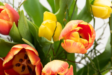 Blumenstrauß mit Tulpen