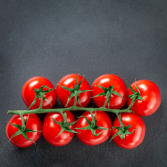 Sprig of tomato on a slate top view, ccopy space.